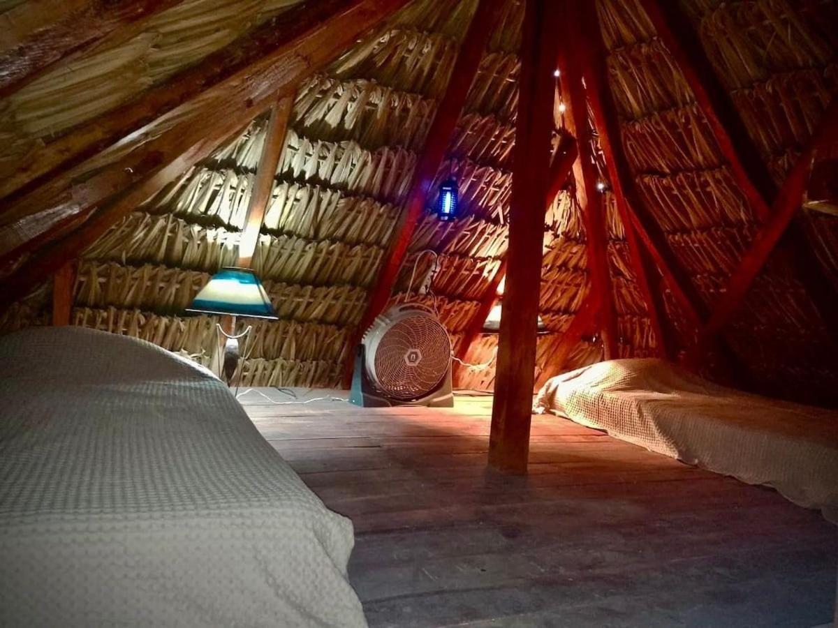 Casa Tropicana Ел Куйо Екстериор снимка