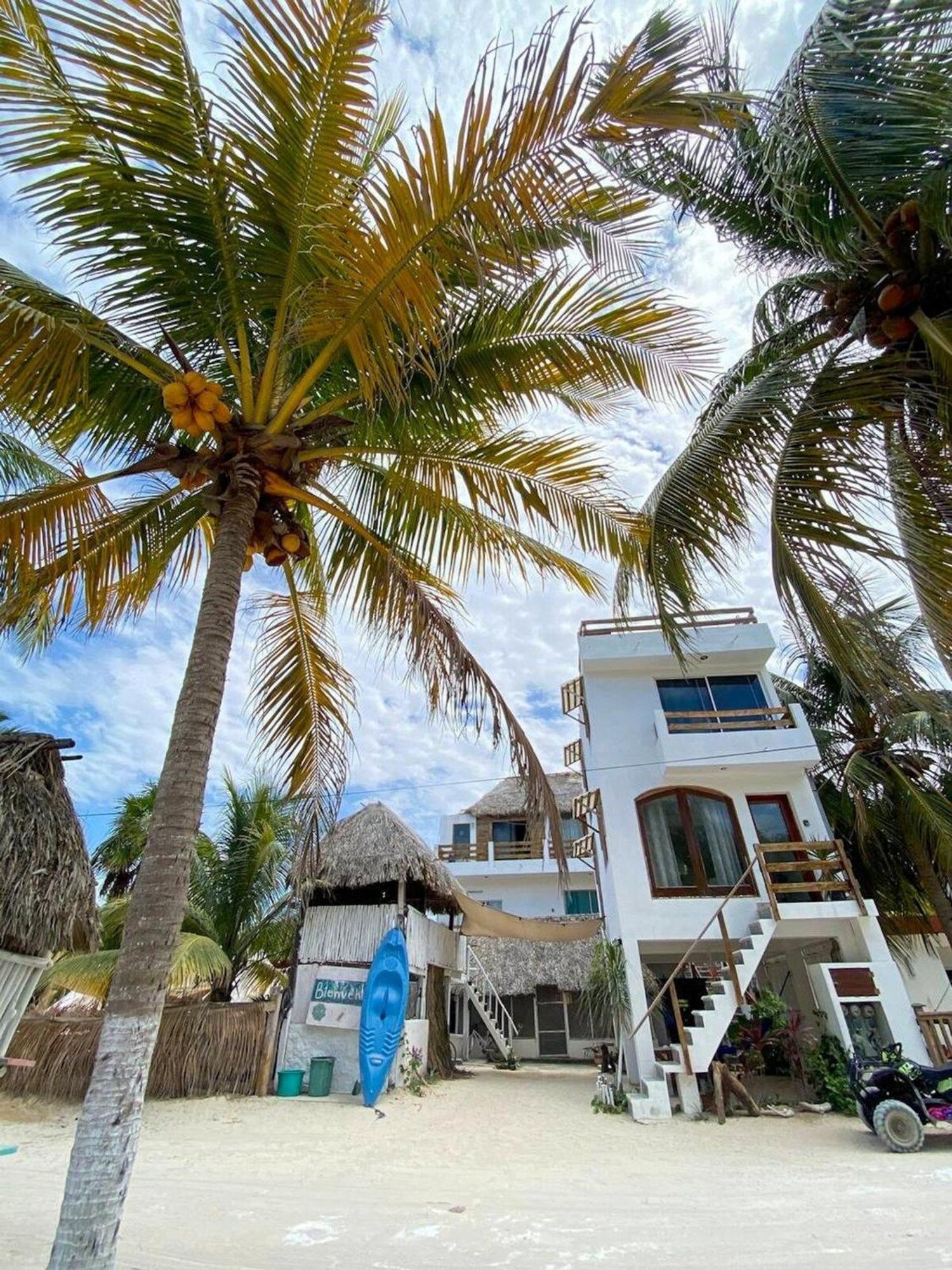 Casa Tropicana Ел Куйо Екстериор снимка